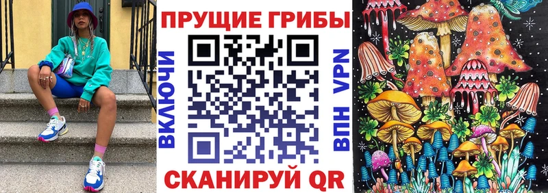 Галлюциногенные грибы ЛСД где можно купить Североуральск