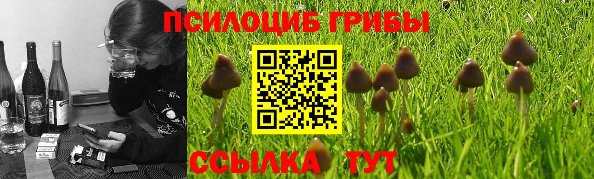Псилоцибиновые грибы прущие грибы Североуральск